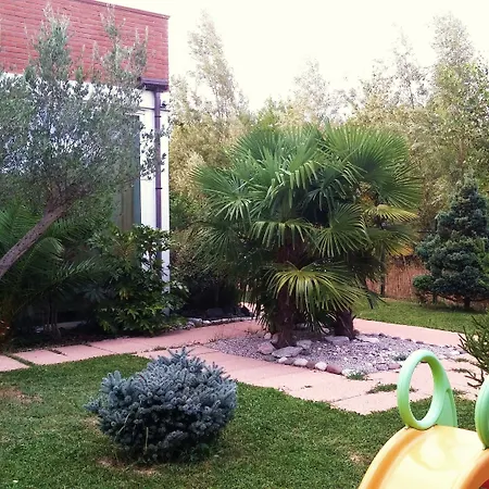 Dream Venice Airport *