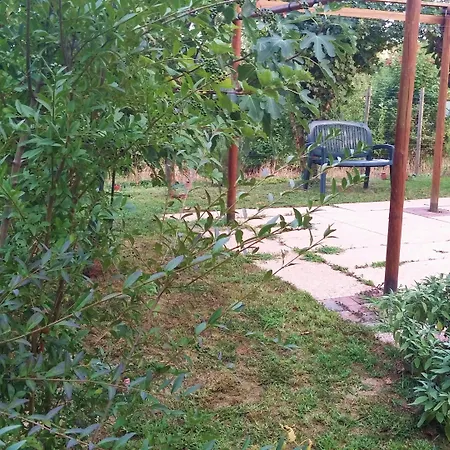 Dream Venice Airport * Dese