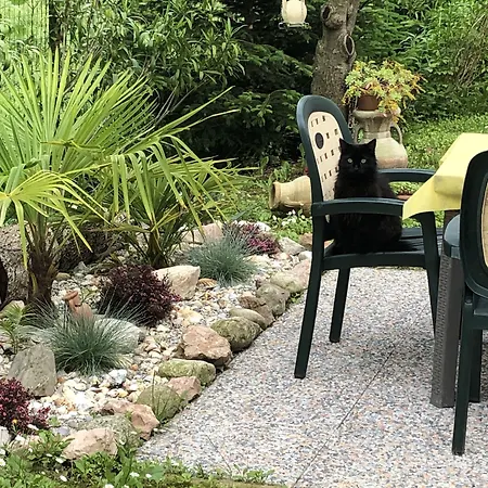 Dream Venice Airport *