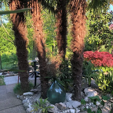 Dream Venice Airport Dese