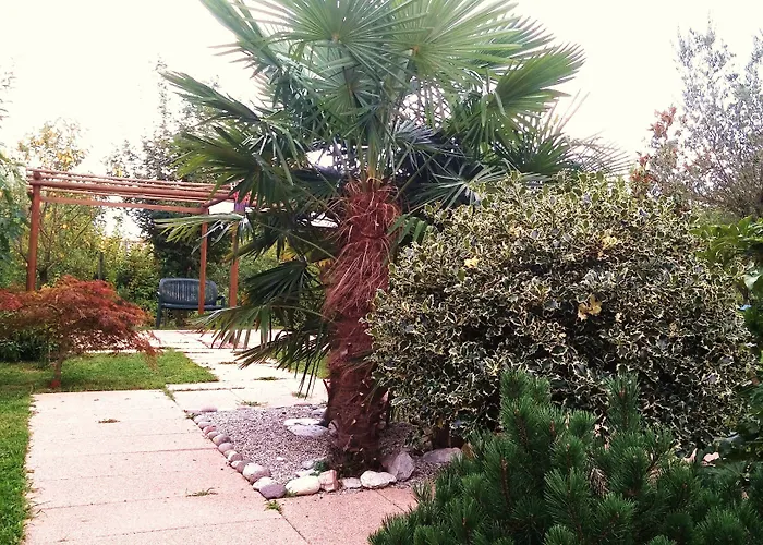 Appartement Dream Venice Airport Dese