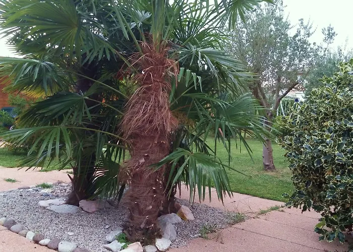 דירה Dream Venice Airport *