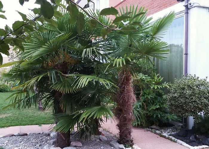 Appartement Dream Venice Airport Dese