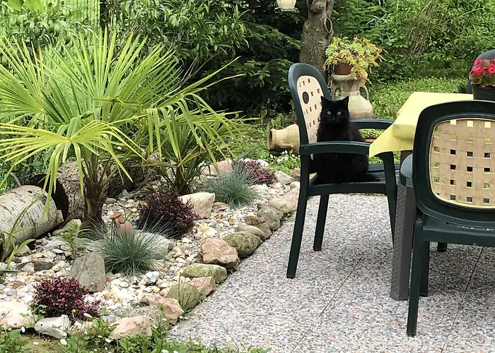 Dream Venice Airport *