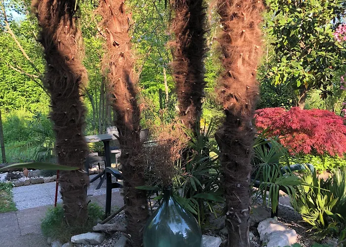 Dream Venice Airport Dese