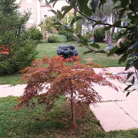 Dream Venice Airport