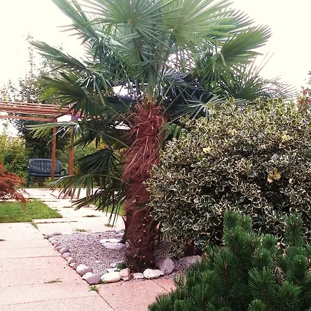 Appartamento Dream Venice Airport Dese