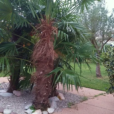 Apartamento Dream Venice Airport *