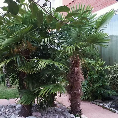 Appartamento Dream Venice Airport Dese