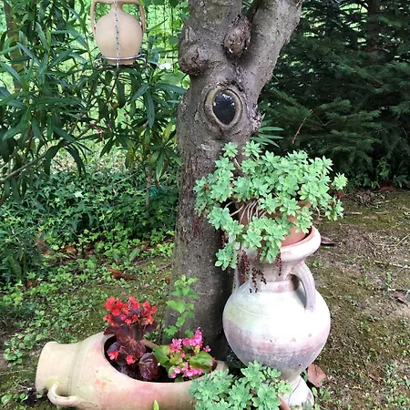 Apartamento Dream Venice Airport Dese