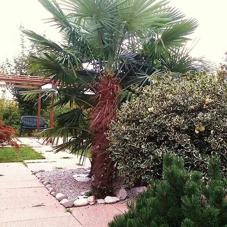 Apartamento Dream Venice Airport