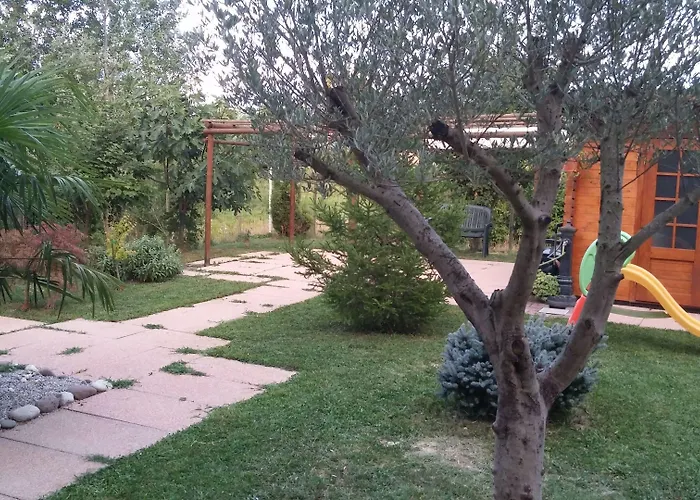 Dream Venice Airport * Dese