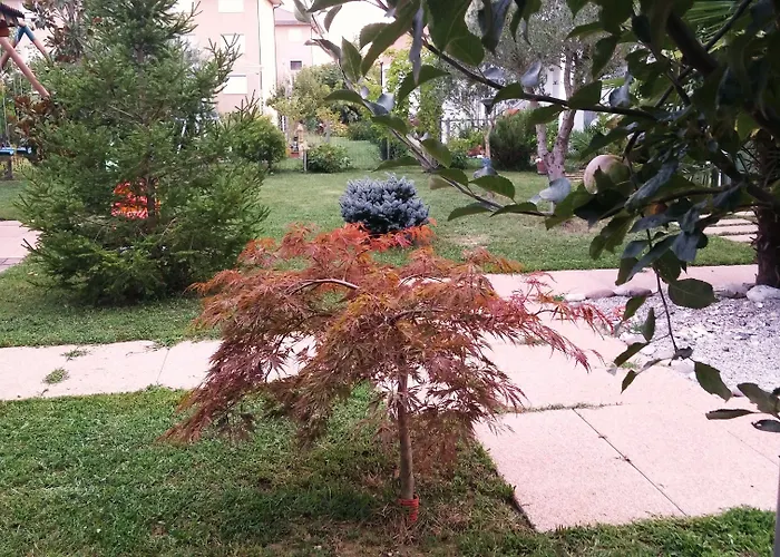 Dream Venice Airport