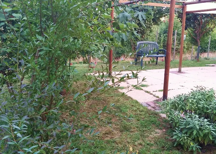 Dream Venice Airport * Dese